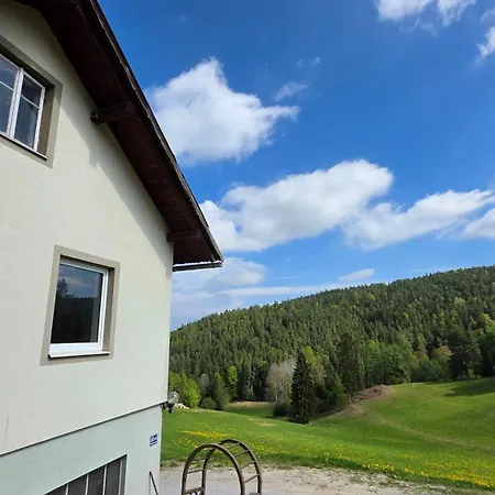 Zwoelfer Appartement Langschlag (Gross Gerungs)